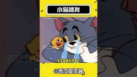 小猫跳舞 #娱乐评论大赏 #猫咪 #动物的迷惑行为 #猫猫 #萌宠