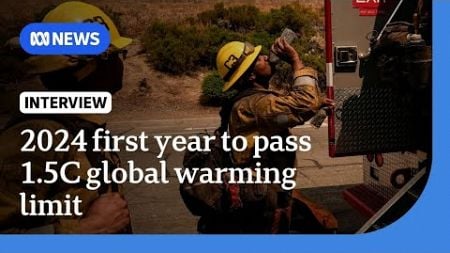 Unprecedented heat and extreme weather: 2024 the hottest year on record | The World