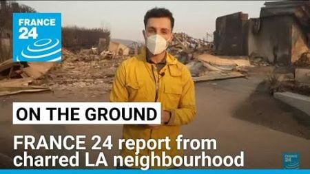 &#39;Surreal devastation&#39;: FRANCE 24 report from LA neighbourhood charred by fierce wildfire