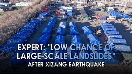 Expert: Low chance of large-scale landslides after Xizang earthquake