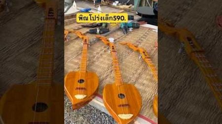 #พิณ #ดนตรีอีสาน #เสียงพิณอีสาน #เพลงบรรเลง ##music