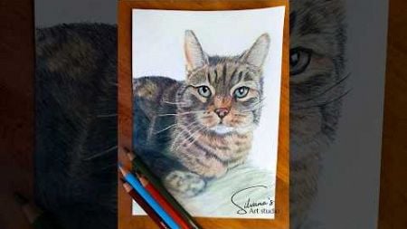 Bram is klaar 🥰 #tekenen #art #creatief #drawing #cat #cute #kat #huisdieren #