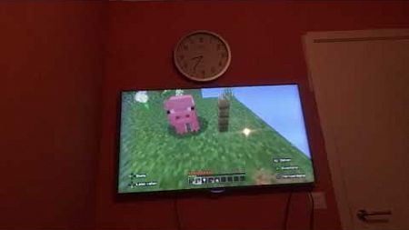 Mij huisdieren zijn terug (Minecraft Sky blok)