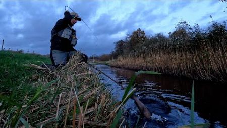 Cheap ass Glass, fly rod 17 Ørrede fiskeri den svære kunst 2024