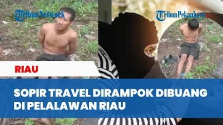 Sopir Travel Ditemukan Warga dengan Tangan Kaki Terikat di Pelalawan Riau, Diduga Korban Perampokan