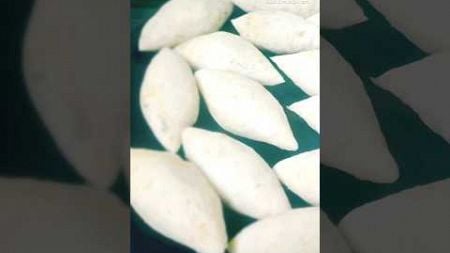 You tube short video/pitha recipe@randhan shoilly o blogging