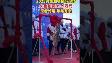 2025兴凯湖冬捕节现场，头鱼拍卖99.9万元！#喜迎亚冬会歌声里的黑龙江 #跟着亚冬游龙江#聚焦2025黑龙江两会#2025黑龙江美丽新画卷