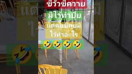 #funny #เปิดค่าการมองเห็น #เพื่อความบันเทิง #ตลกขำๆ #คำคม #คลายเครียด