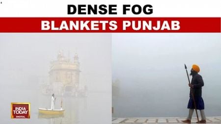 Dense Fog Engulfs Punjab: Commuters Face Poor Visibility On Amritsar-Pathankot Highway | India Today